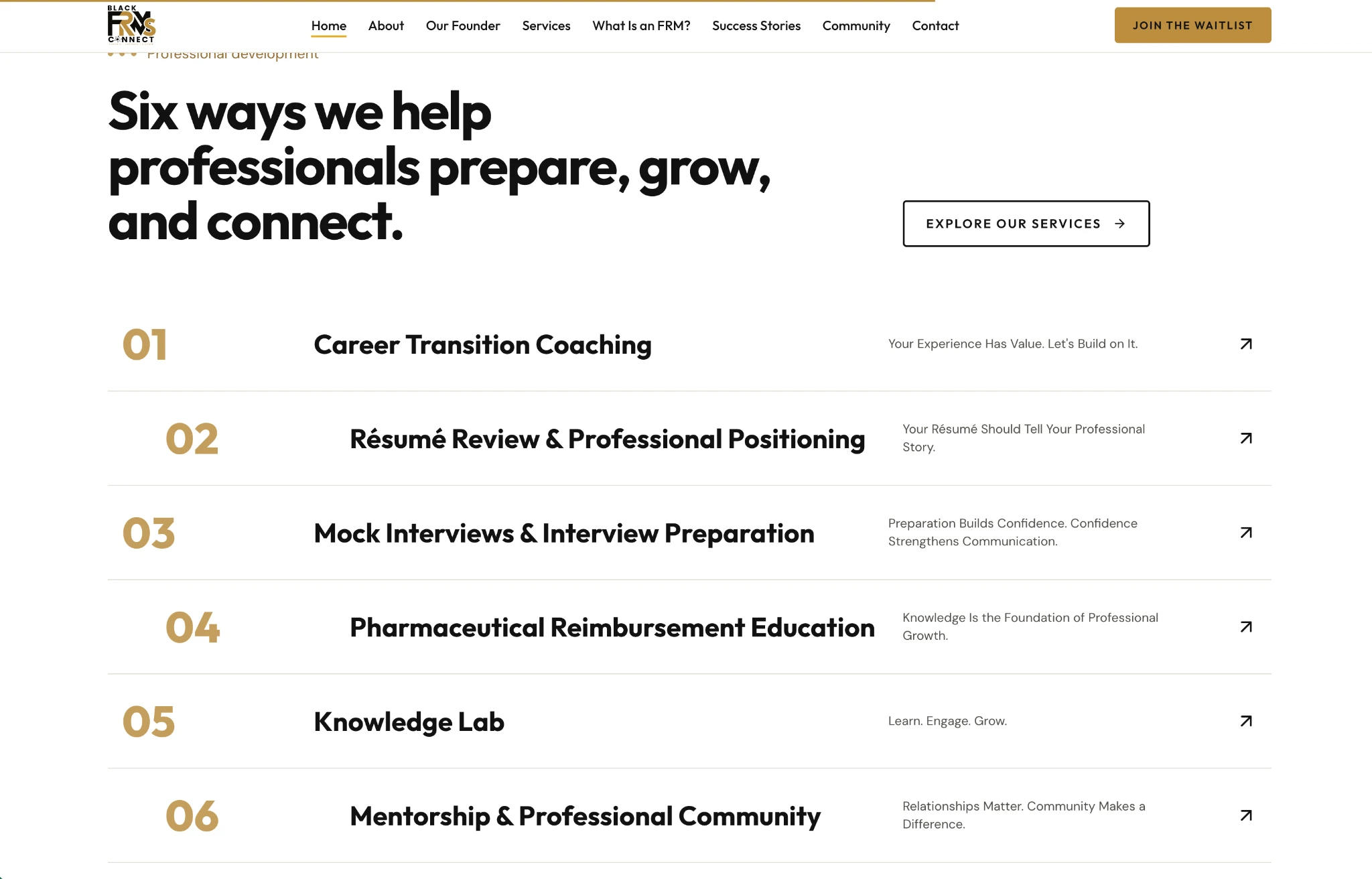 Black FRMs Connect | Professional development offerings